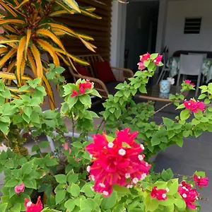 Appartement Le Tropical 1 Ou 2 Chambres, Les Anses-d'Arlet